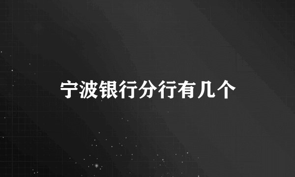 宁波银行分行有几个