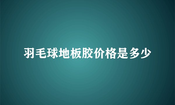 羽毛球地板胶价格是多少