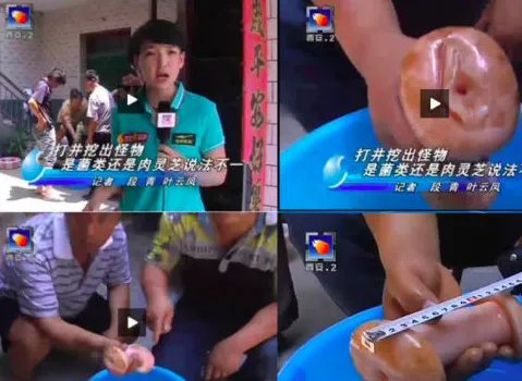 山西女记者太岁事件
