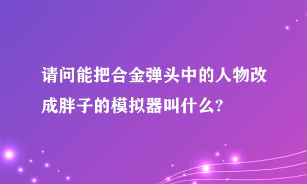 请问能把合金弹头中的人物改成胖子的模拟器叫什么?