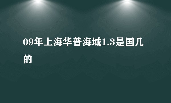09年上海华普海域1.3是国几的