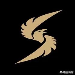 斗鱼黄金大奖赛到了总决赛,16支队伍你们觉得哪个战队能够夺冠?