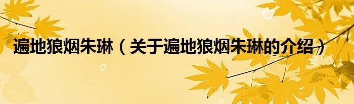 遍地狼烟朱琳（关于遍地狼烟朱琳的介绍）