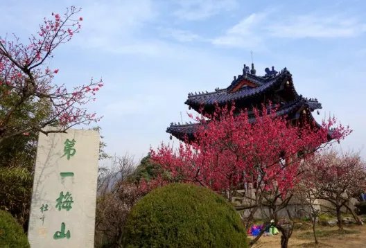南京梅花山怎么进不要门票? 好多说早上6.30之前不要门票,是不是这样子啊?