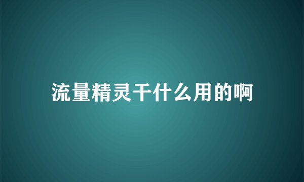 流量精灵干什么用的啊