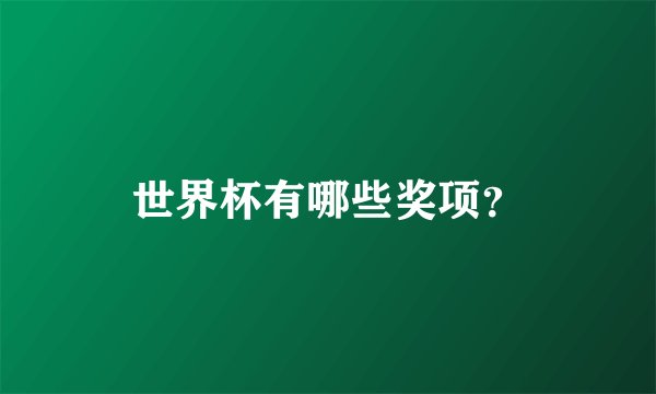 世界杯有哪些奖项?