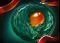DOTA2破泞之战宝物效果介绍及等级要求