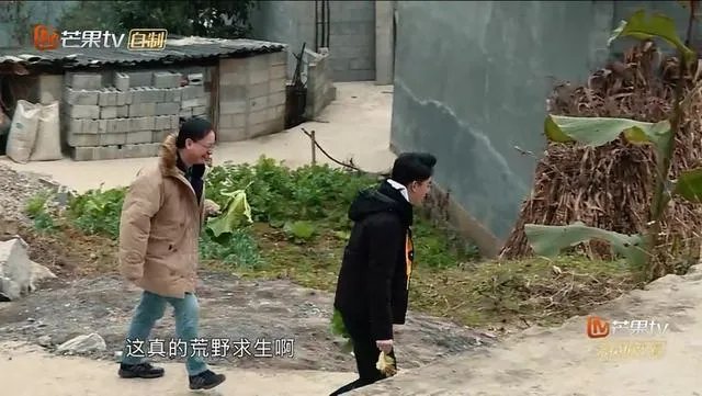 如何看待《变形计之平行世界》?