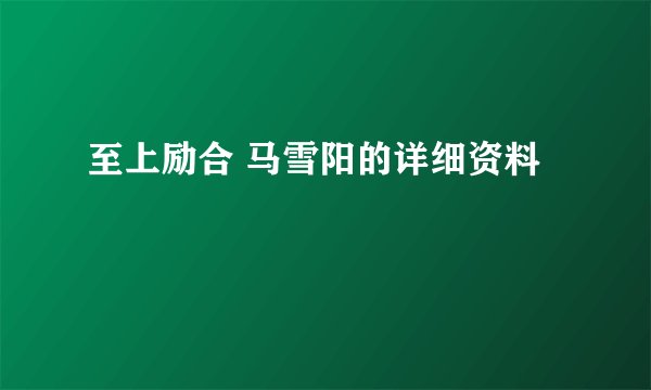 至上励合 马雪阳的详细资料