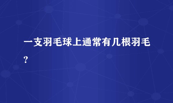 一支羽毛球上通常有几根羽毛?