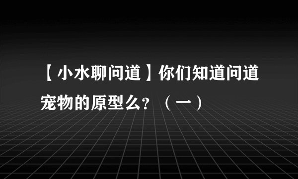 【小水聊问道】你们知道问道宠物的原型么?(一)