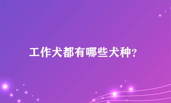 工作犬都有哪些犬种？