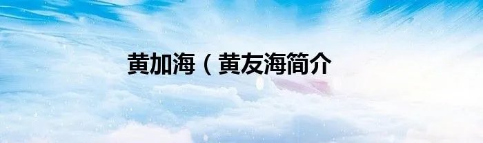 黄加海（黄友海简介