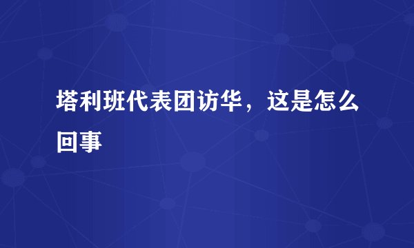 塔利班代表团访华，这是怎么回事