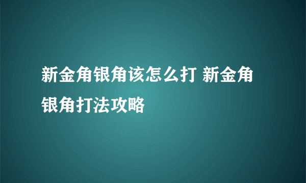新金角银角该怎么打 新金角银角打法攻略