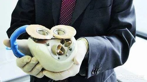 想象一下未来人类会进化成什么样子?