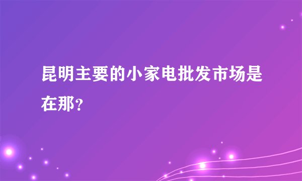 昆明主要的小家电批发市场是在那？