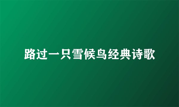 路过一只雪候鸟经典诗歌