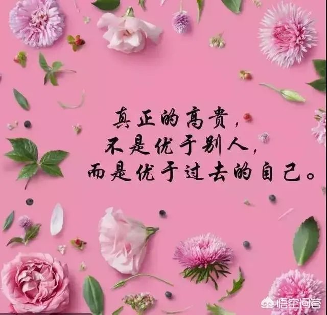有什么惊艳的句子?