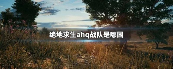 绝地求生ahq战队是哪国