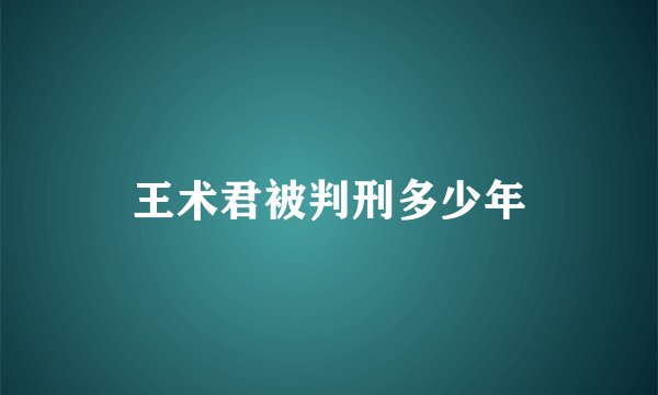 王术君被判刑多少年