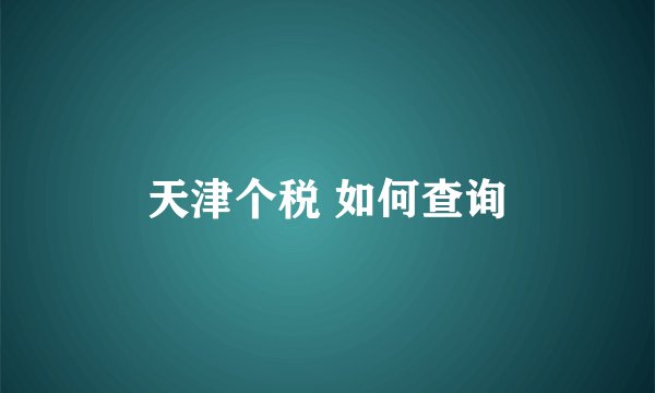 天津个税 如何查询