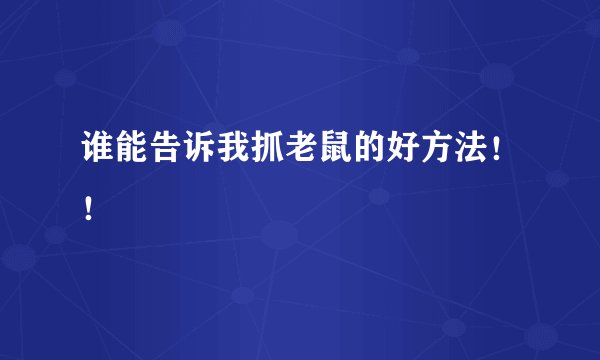 谁能告诉我抓老鼠的好方法!!
