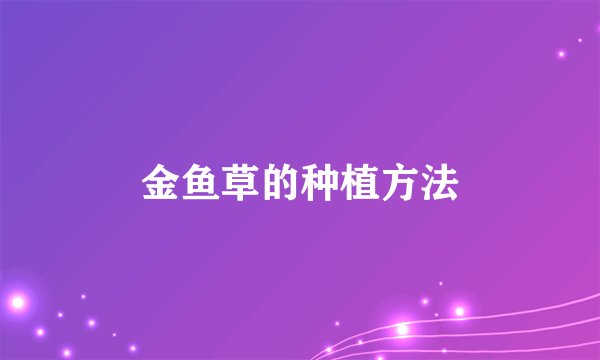 金鱼草的种植方法