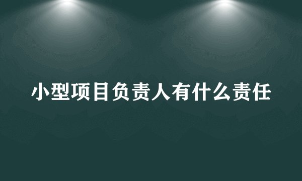小型项目负责人有什么责任