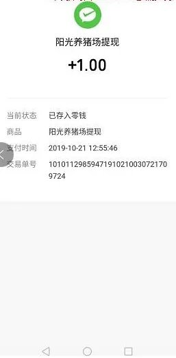 《阳光养猪场》真的赚钱吗