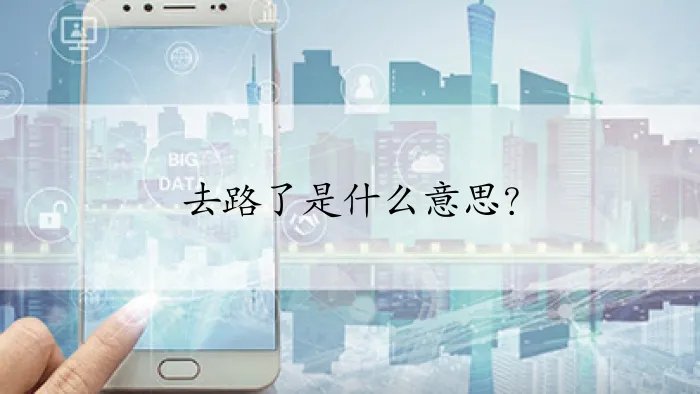 去路了是什么意思？