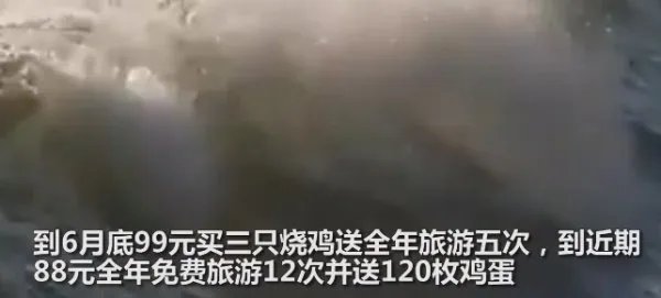 为什么运城文旅局局长会选择买烧鸡送免费旅游?