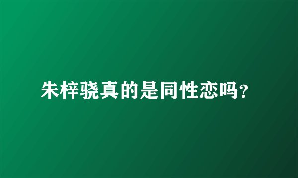 朱梓骁真的是同性恋吗？
