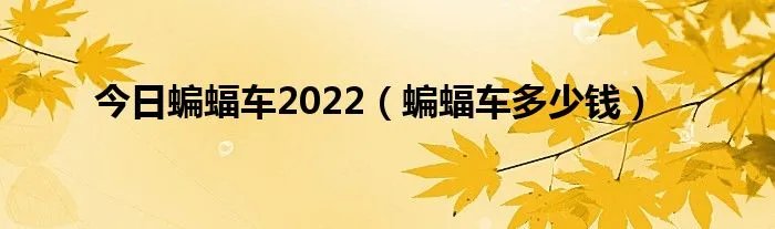 今日蝙蝠车2022（蝙蝠车多少钱）