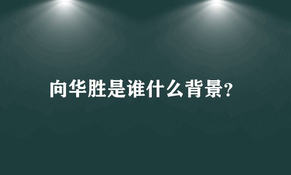 向华胜是谁什么背景？