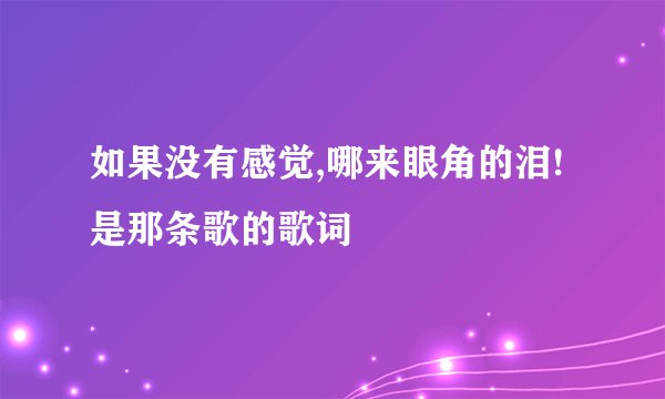 如果没有感觉,哪来眼角的泪!是那条歌的歌词