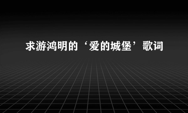 求游鸿明的‘爱的城堡’歌词