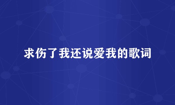 求伤了我还说爱我的歌词