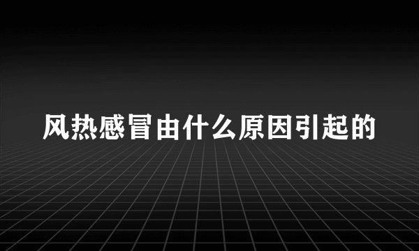 风热感冒由什么原因引起的
