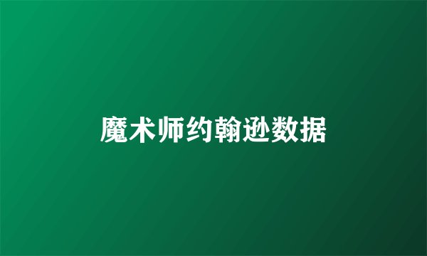 魔术师约翰逊数据