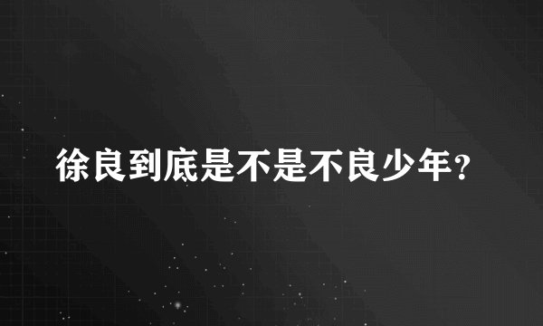 徐良到底是不是不良少年？