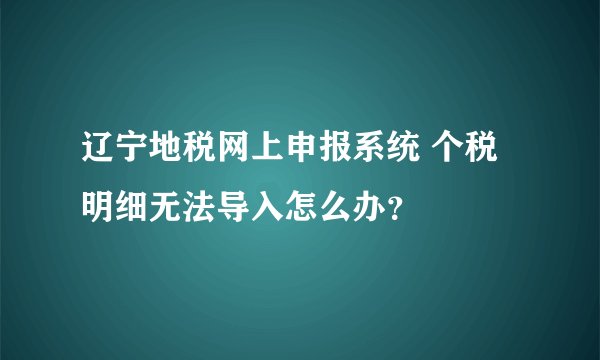 辽宁地税网上申报系统 个税明细无法导入怎么办？