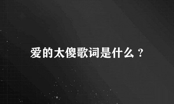 爱的太傻歌词是什么 ?
