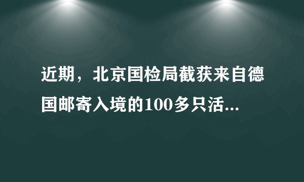 近期，北京国检局截获来自德国邮寄入境的100多只活蟑螂和501只活蜘蛛，避免了它们入境形成生物入侵等危害．蟑螂和蜘蛛在生物分类中最小的共同分类单位是（　　）