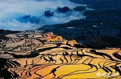 你觉得国内哪些旅游景点是摄影创作团队最爱去的?