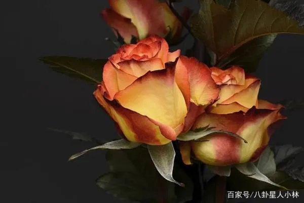 怎么让男人回心转意重新爱上你？