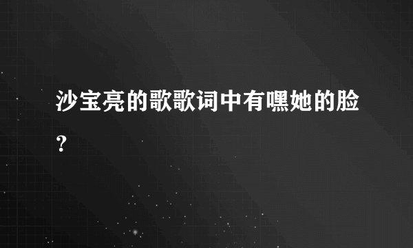 沙宝亮的歌歌词中有嘿她的脸?