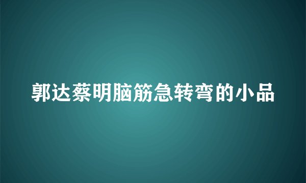 郭达蔡明脑筋急转弯的小品