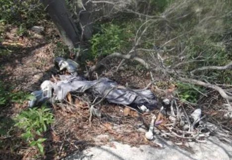 湖南一男童家中蹊跷失踪后身亡,该事件背后有着怎样的真相?