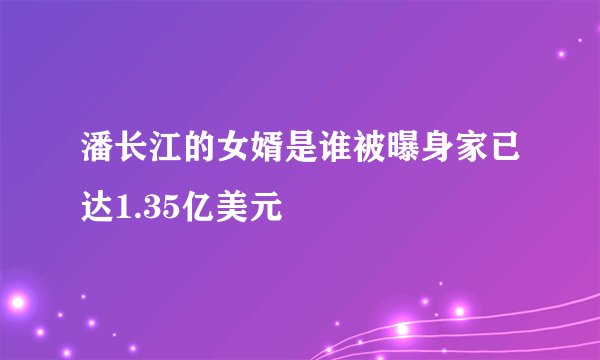 潘长江的女婿是谁被曝身家已达1.35亿美元